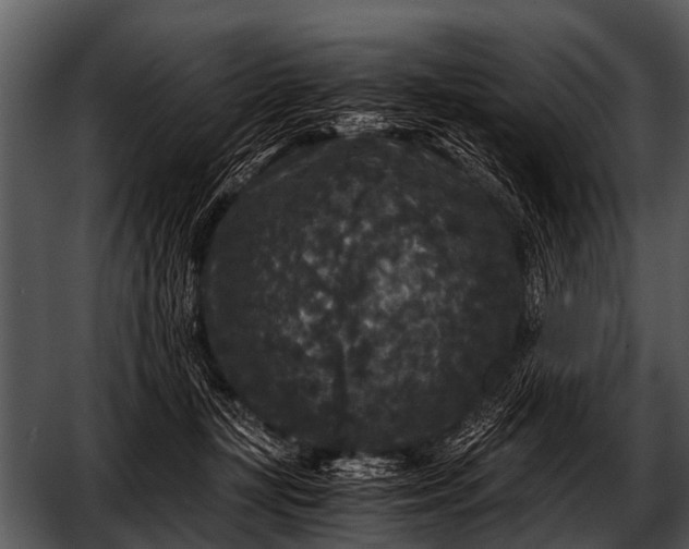 X0000052650367200507160229