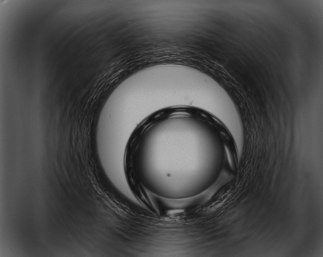 X0000052650368200507160229