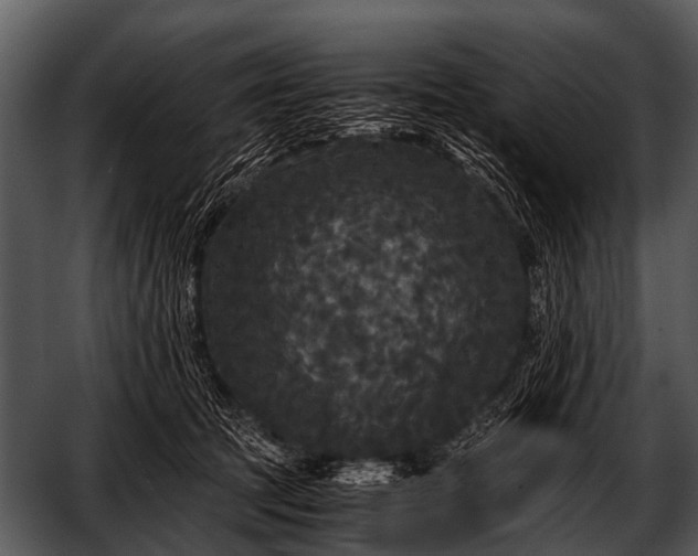 X0000052650369200507160229