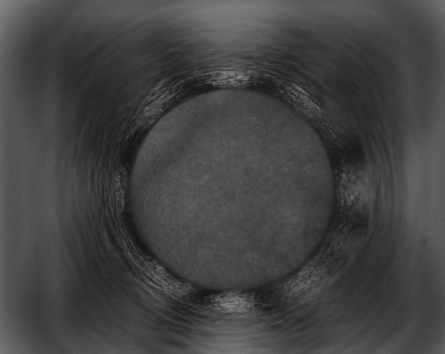 X0000052650370200507160229