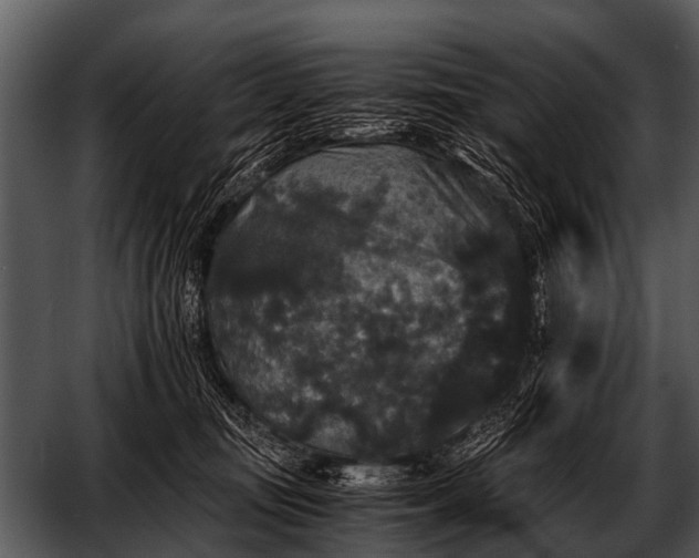 X0000052650371200507160229