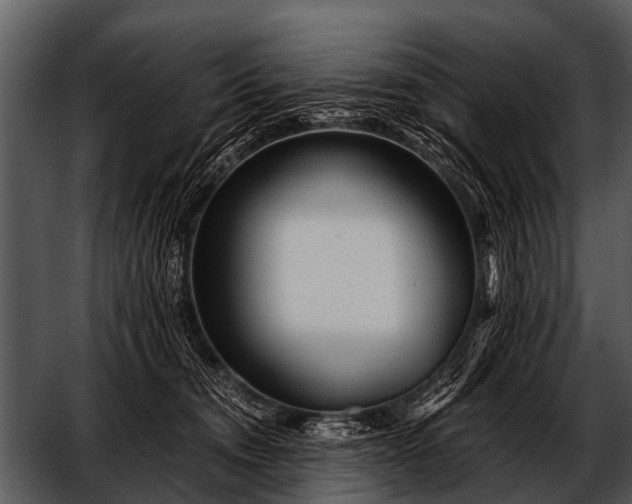 X0000052650372200507160229