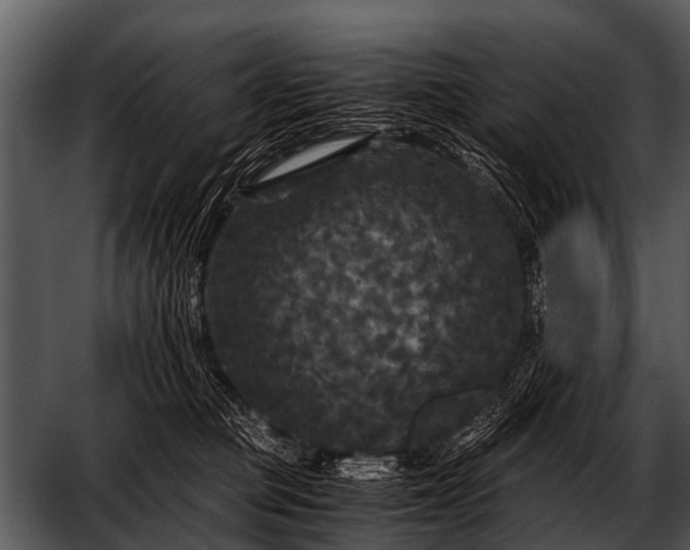 X0000052650373200507160229