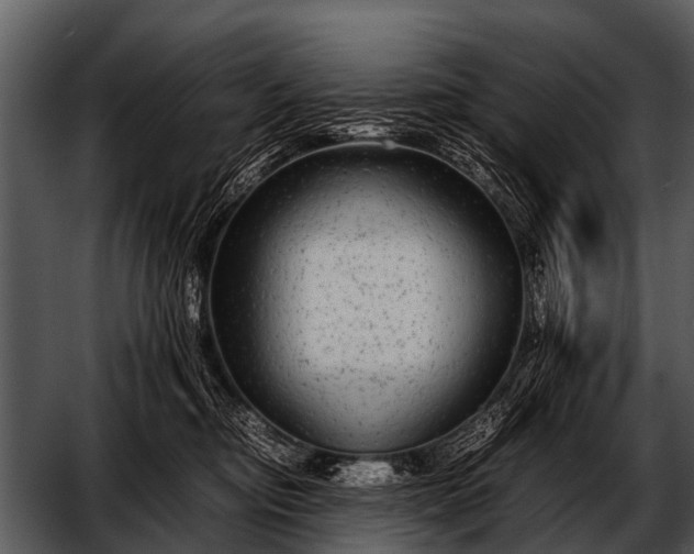 X0000052650374200507160229