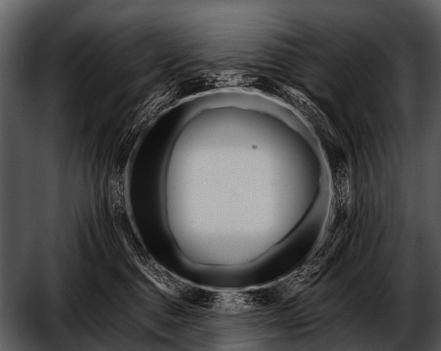 X0000052650376200507160229