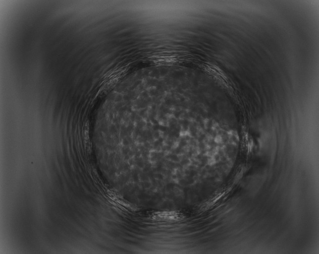 X0000052650377200507160229