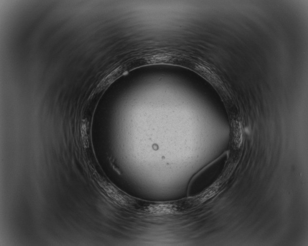 X0000052650378200507160229