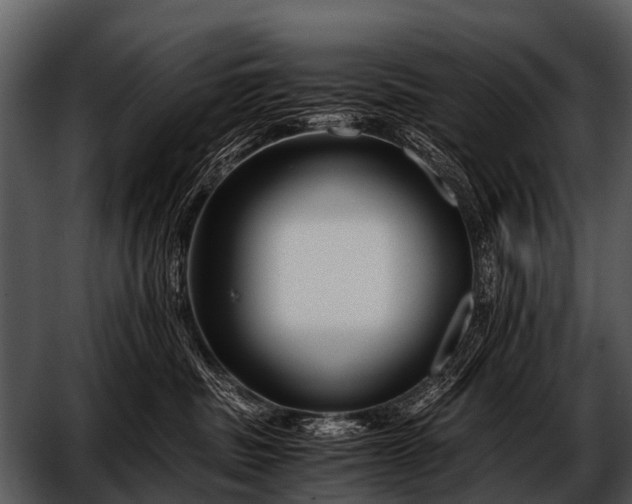 X0000052650379200507160229