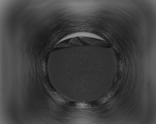 X0000052650380200507160229