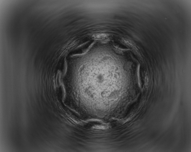 X0000052650381200507160229