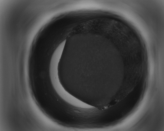 X0000052650382200507160229