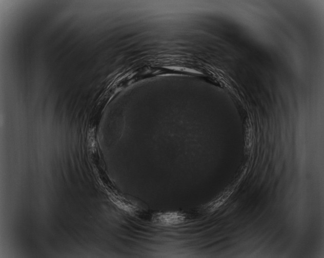 X0000052650383200507160230