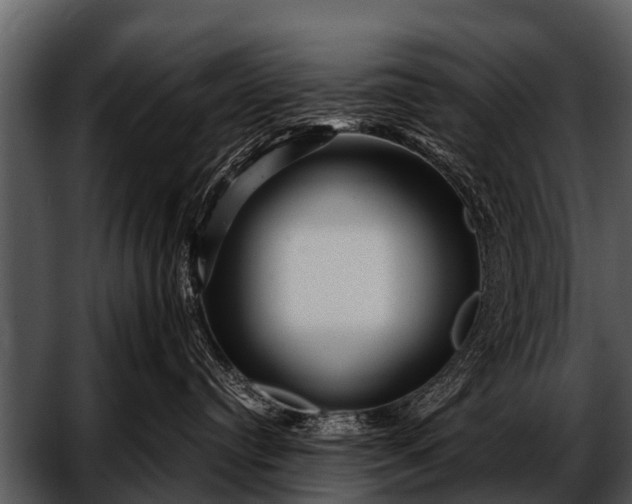 X0000052650384200507160230