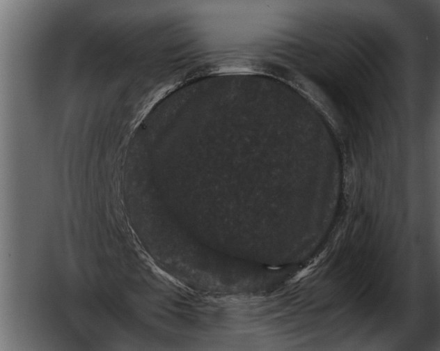 X0000052650385200507160229