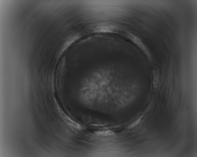 X0000052650386200507160229