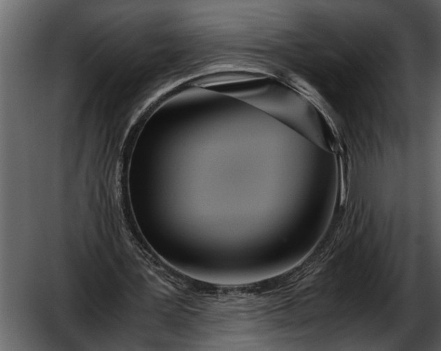 X0000052650387200507160229