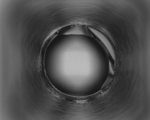 X0000052650388200507160229