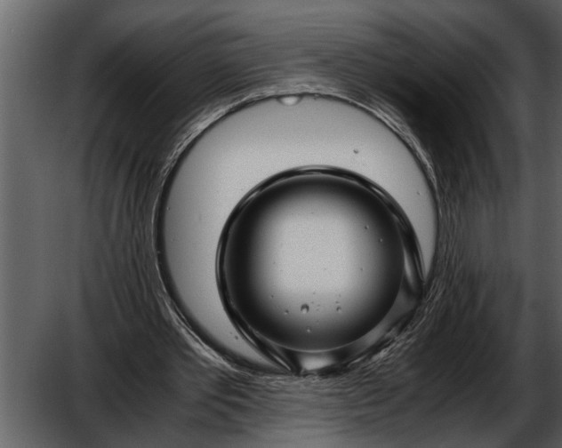 X0000052650389200507160229