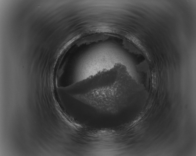 X0000052650390200507160229