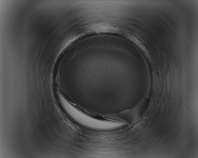 X0000052650391200507160229