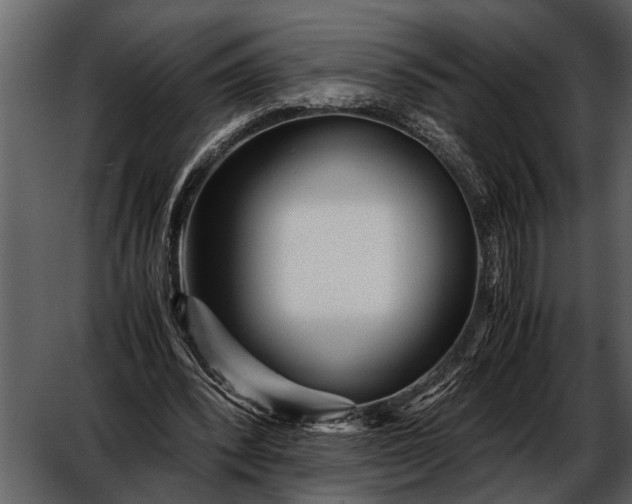 X0000052650392200507160229