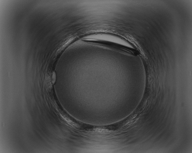 X0000052650393200507160229