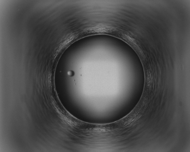 X0000052650394200507160229