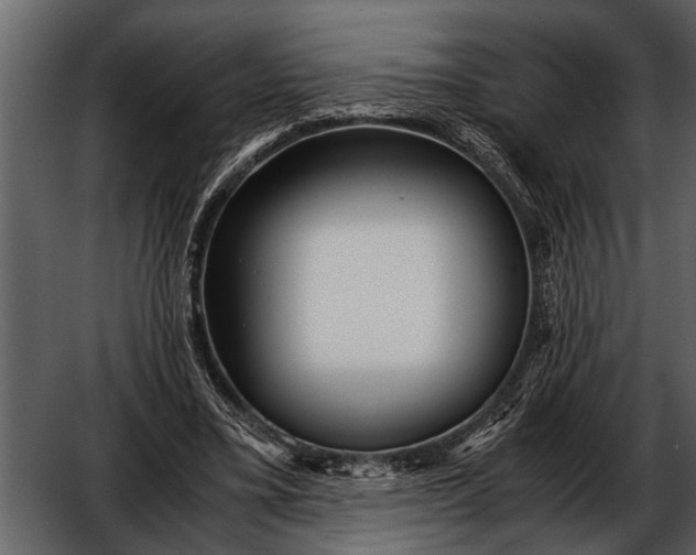 X0000052650395200507160229