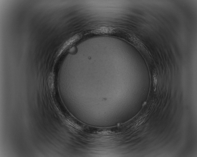 X0000052650396200507160229