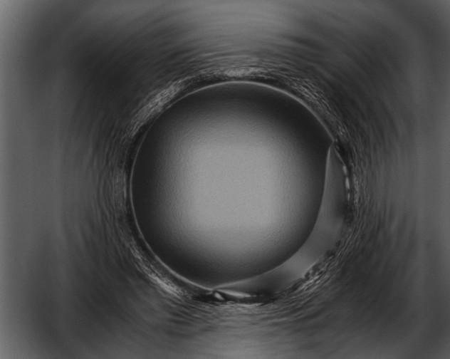 X0000052650397200507160229