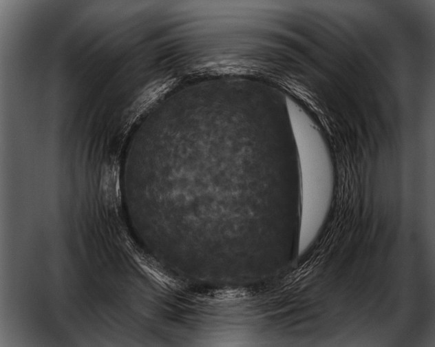 X0000052650398200507160228