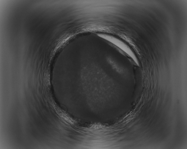 X0000052650399200507160228