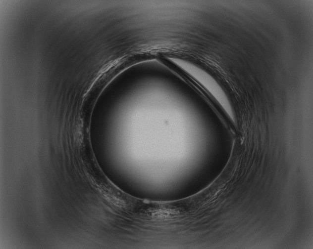 X0000052650400200507160228