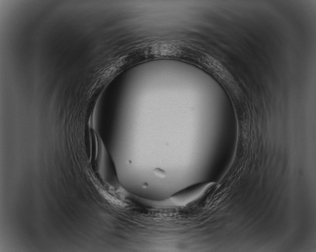 X0000052650401200507160228