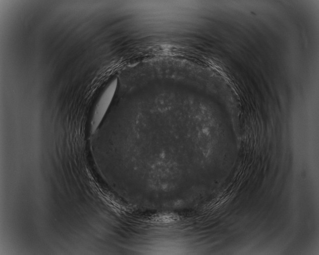 X0000052650402200507160228