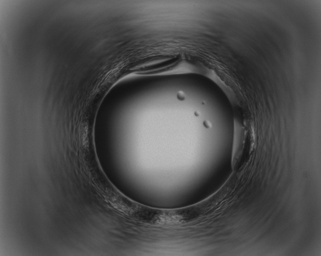 X0000052650403200507160228