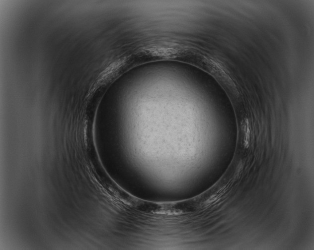 X0000052650404200507160228