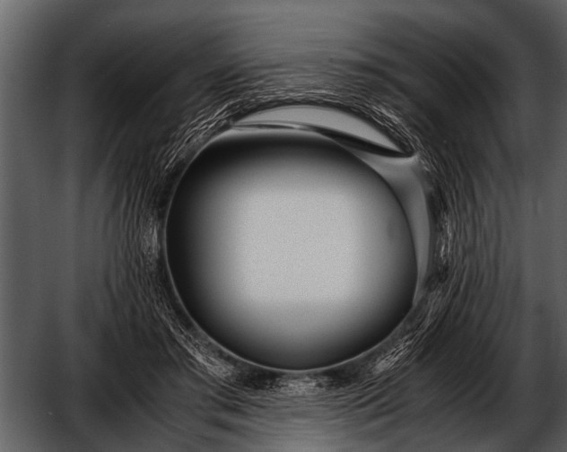 X0000052650405200507160228