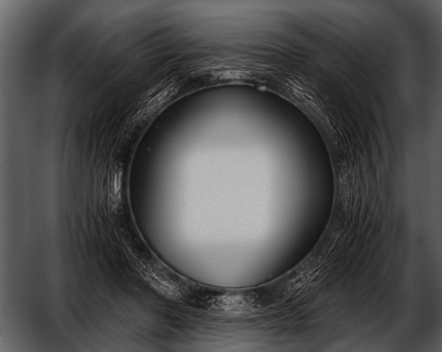 X0000052650406200507160228