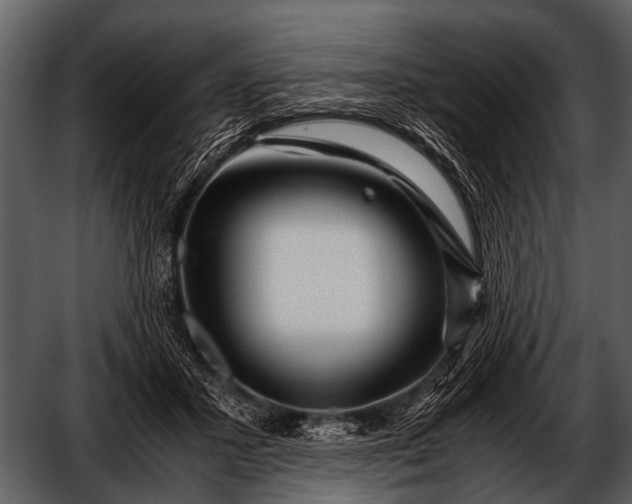 X0000052650407200507160228