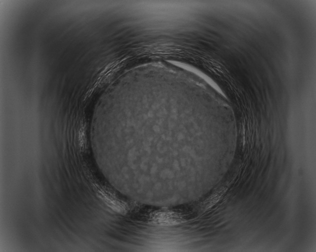 X0000052650408200507160228