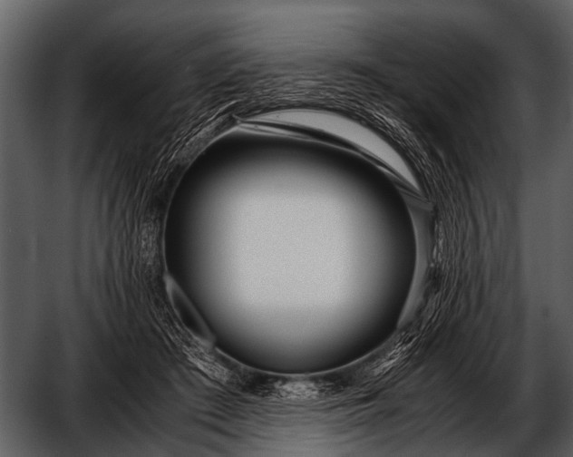 X0000052650409200507160228