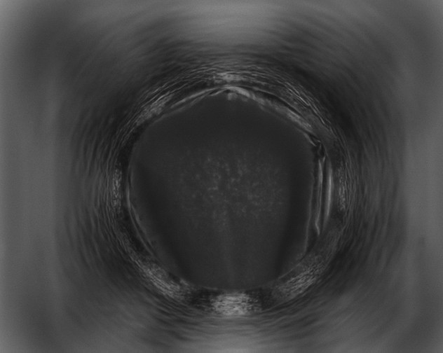 X0000052650410200507160228