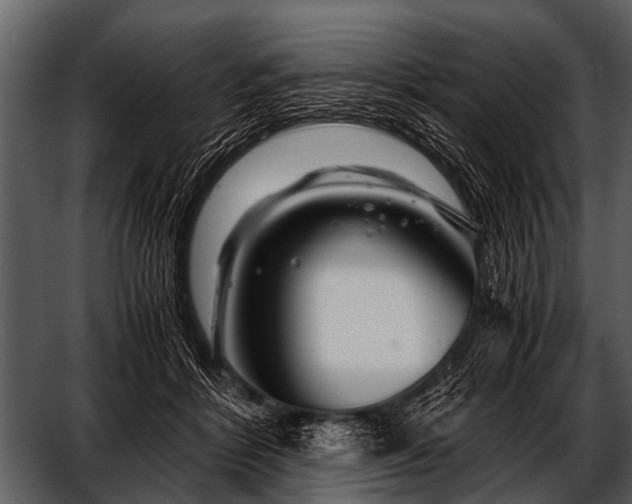 X0000052650412200507160228