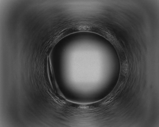 X0000052650413200507160228