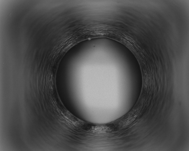 X0000052650414200507160228