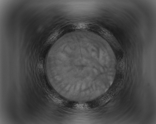 X0000052650415200507160228