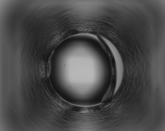 X0000052650416200507160228