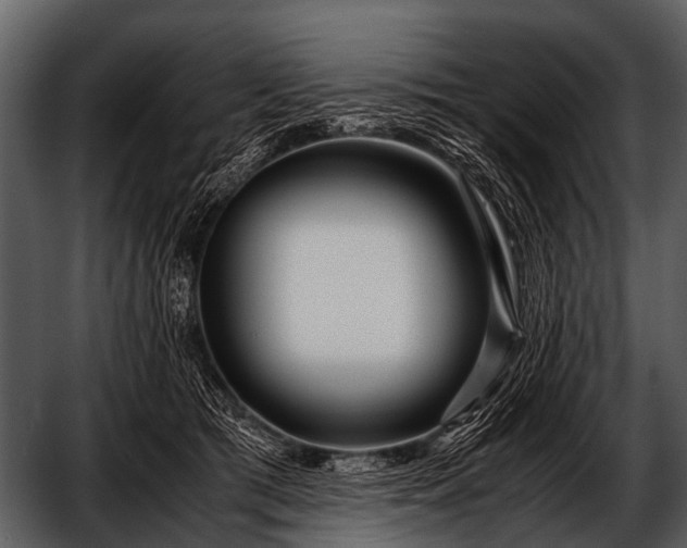 X0000052650417200507160228