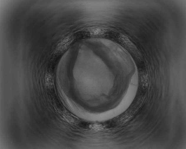 X0000052650419200507160228